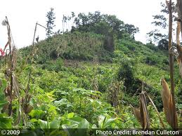 Mayan agroecology practices - traditional and 21stCentury appropriate.